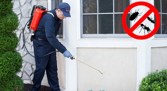 Pınarbaşı Böcek ve Haşere İlaçlama böcek ilaçlama ve haşere kontrolü — ilaclama-tr.com